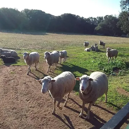 Casa-anghjulina 度假居