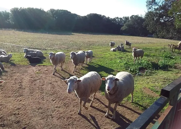 Casa-anghjulina Casa vacanze